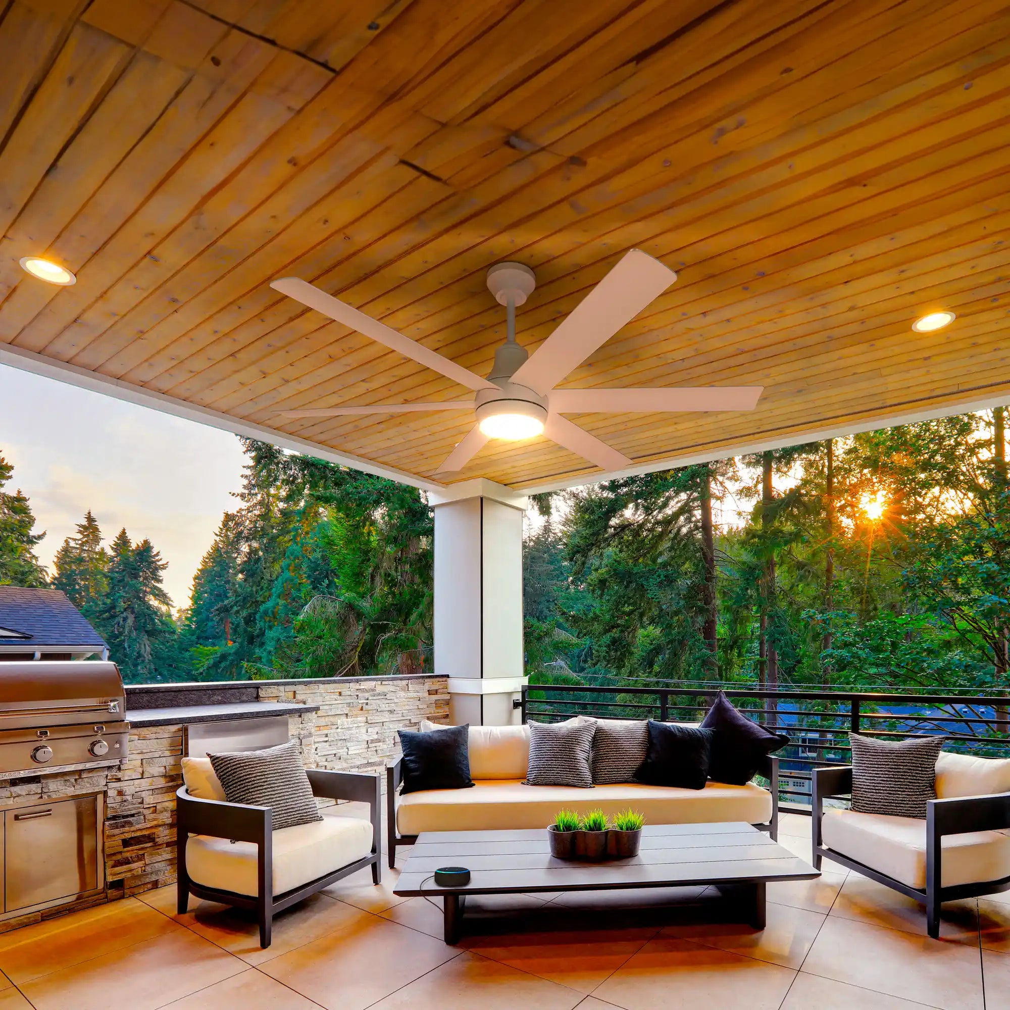 Smart Ceiling Fans