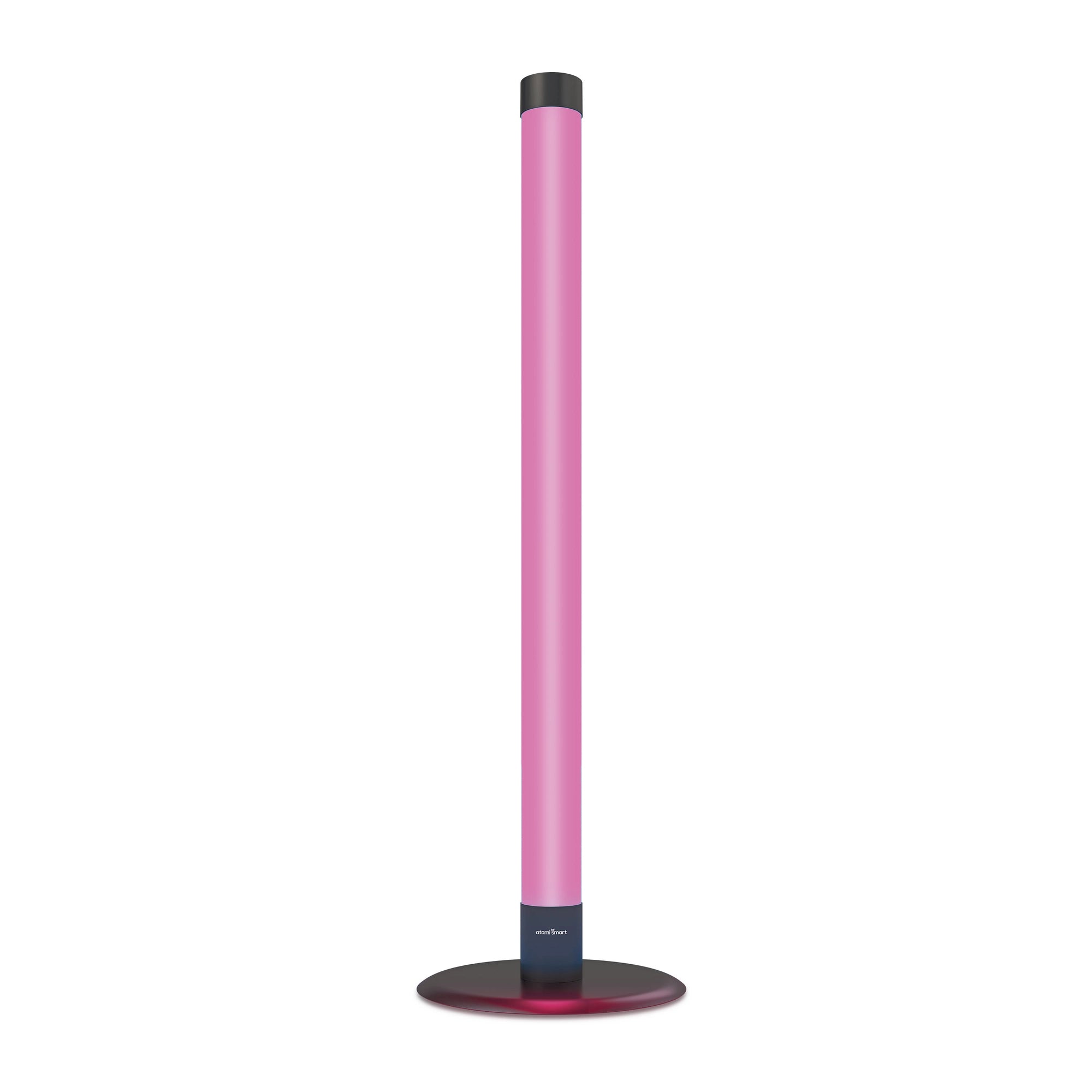 Smart Outdoor Floor Lamp