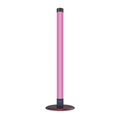 Smart Outdoor Floor Lamp